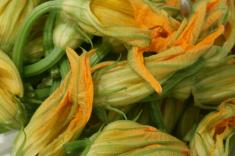Ricetta - Fiori di zucca alla moda Ciociara